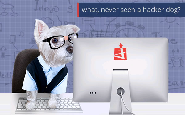 hacker-dog-westie